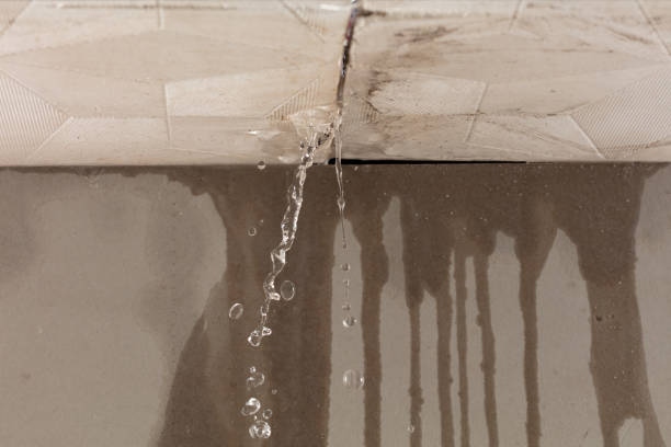 Professional Structural Drying technician working in Trevett, ME